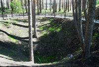 Устье шахты, куда были сброшены живыми члены семьи Романовых
